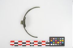 Foto von Bronzehenkelschale (NHMW-PRAE-026731)